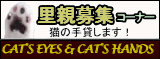 CAT'S EYES & CAT'S HANDS
