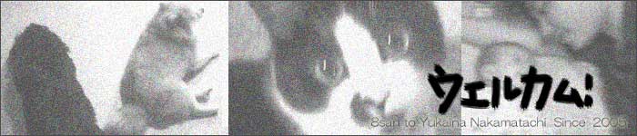 �C���[�W�摜